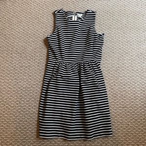 J Crew Dress